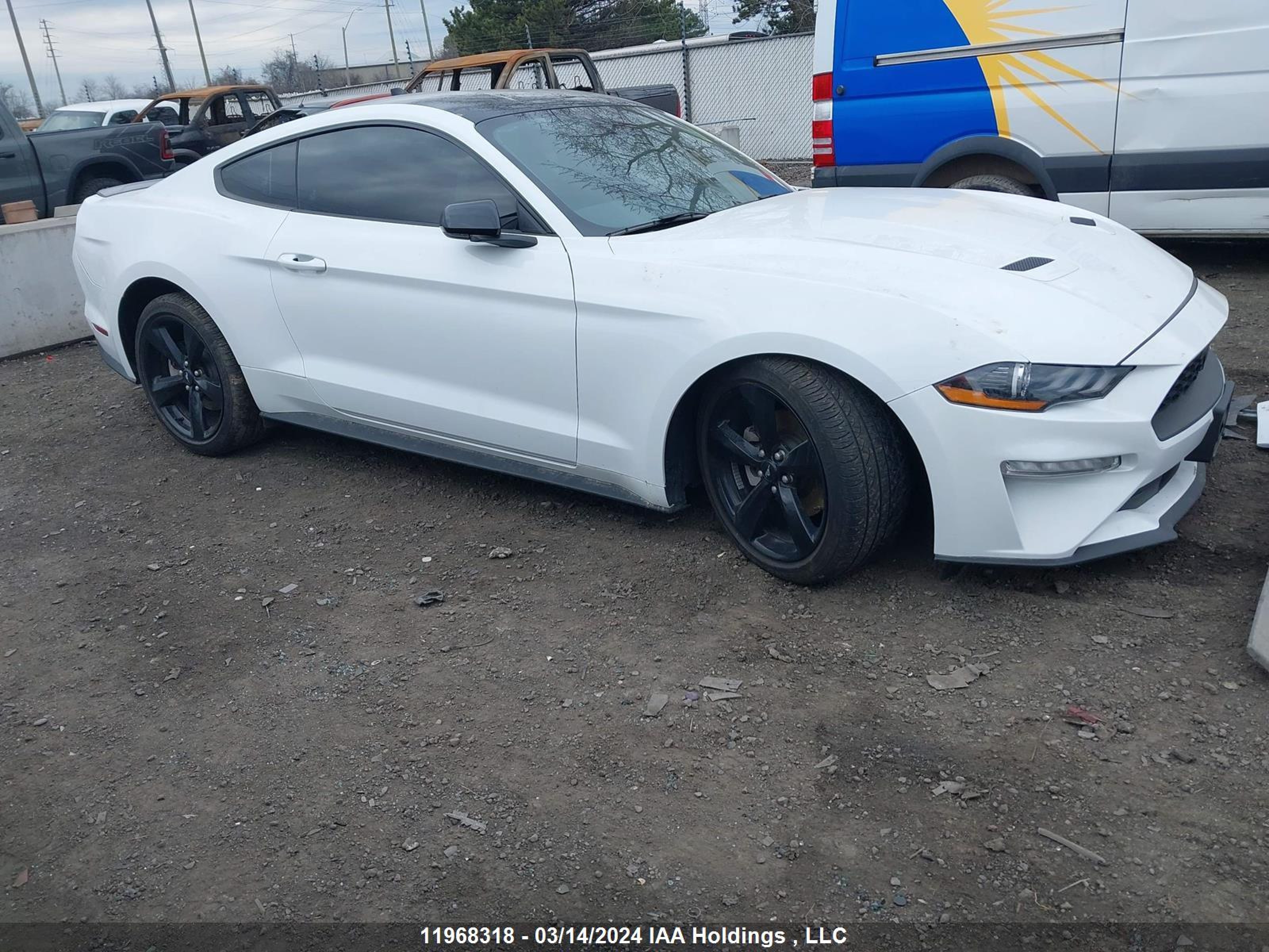 Photo 13 VIN: 1FA6P8TH4P5113183 - FORD MUSTANG 