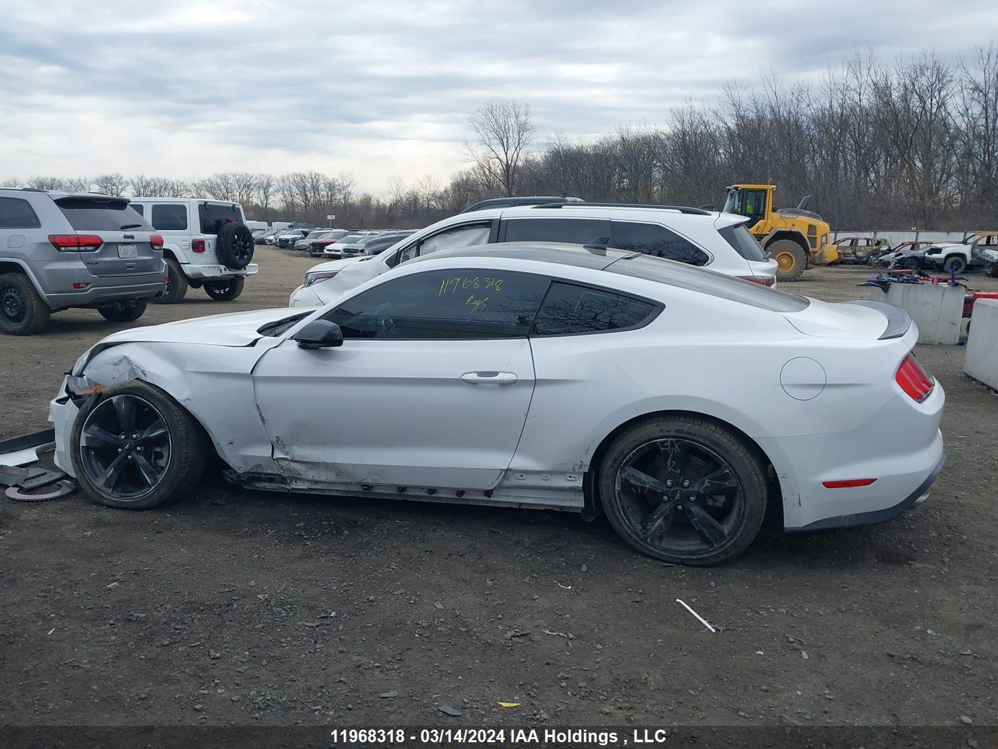 Photo 14 VIN: 1FA6P8TH4P5113183 - FORD MUSTANG 