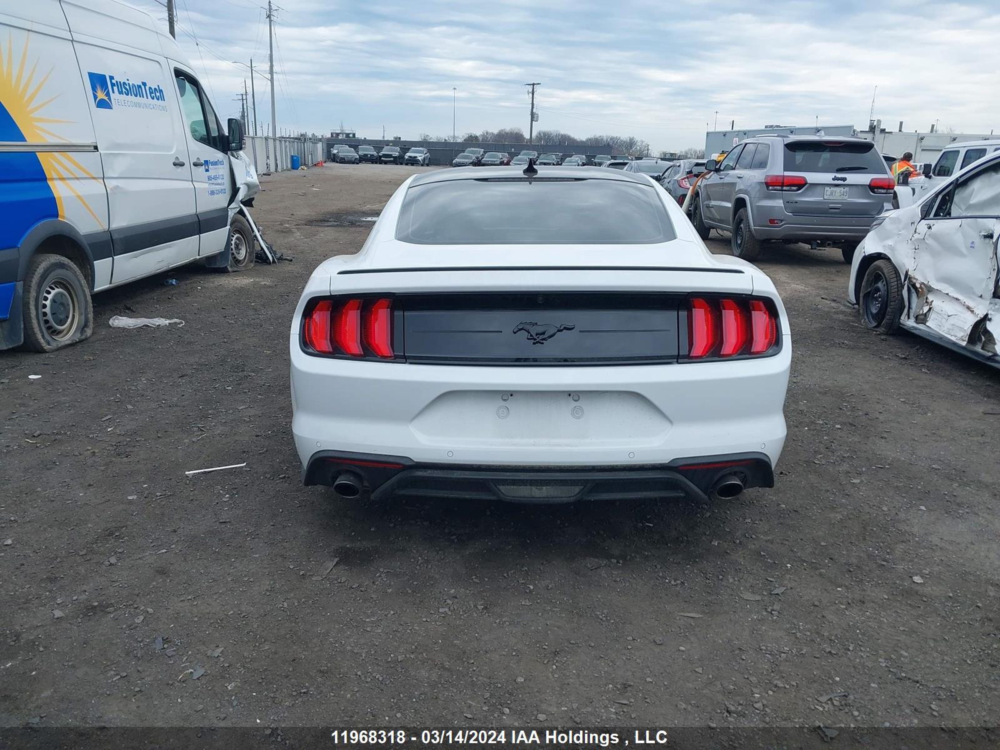 Photo 16 VIN: 1FA6P8TH4P5113183 - FORD MUSTANG 