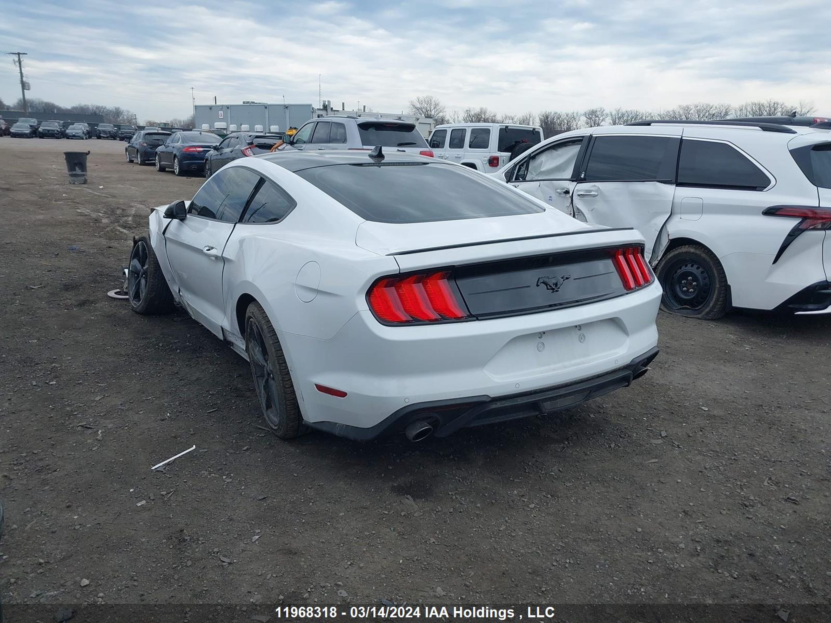 Photo 2 VIN: 1FA6P8TH4P5113183 - FORD MUSTANG 