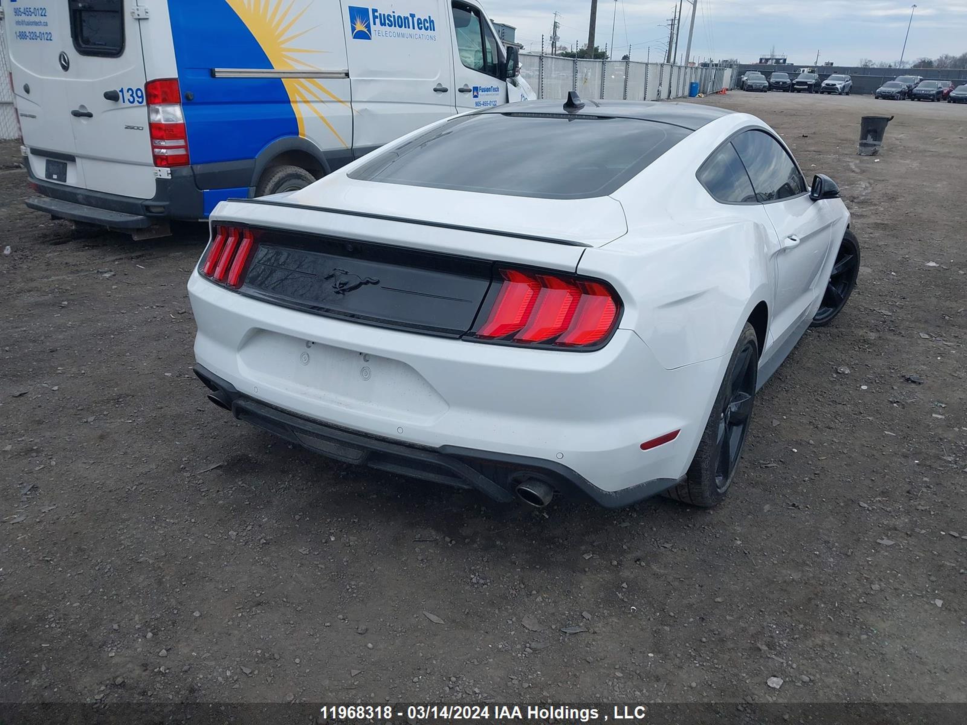 Photo 3 VIN: 1FA6P8TH4P5113183 - FORD MUSTANG 