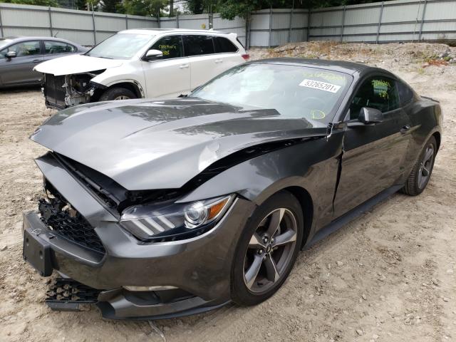 Photo 1 VIN: 1FA6P8TH5F5308143 - FORD MUSTANG 