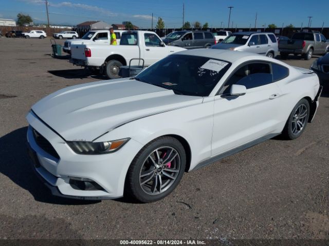 Photo 1 VIN: 1FA6P8TH5F5312371 - FORD MUSTANG 