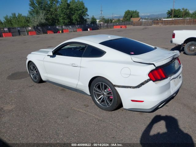 Photo 2 VIN: 1FA6P8TH5F5312371 - FORD MUSTANG 