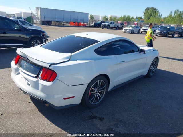 Photo 3 VIN: 1FA6P8TH5F5312371 - FORD MUSTANG 