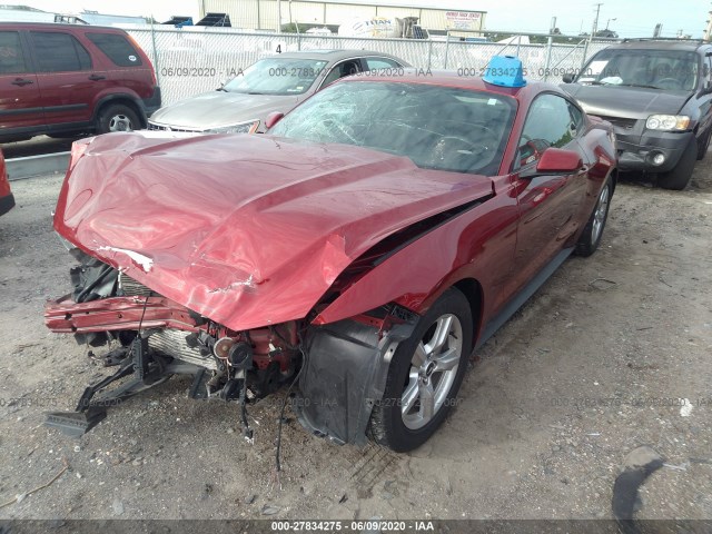 Photo 1 VIN: 1FA6P8TH5F5336637 - FORD MUSTANG 