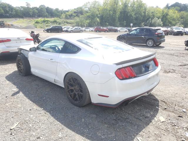 Photo 2 VIN: 1FA6P8TH5F5343877 - FORD MUSTANG 