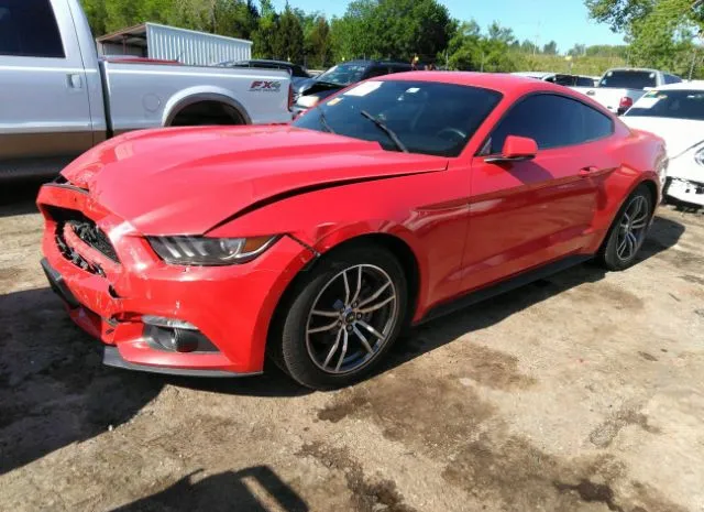 Photo 1 VIN: 1FA6P8TH5F5383635 - FORD MUSTANG 