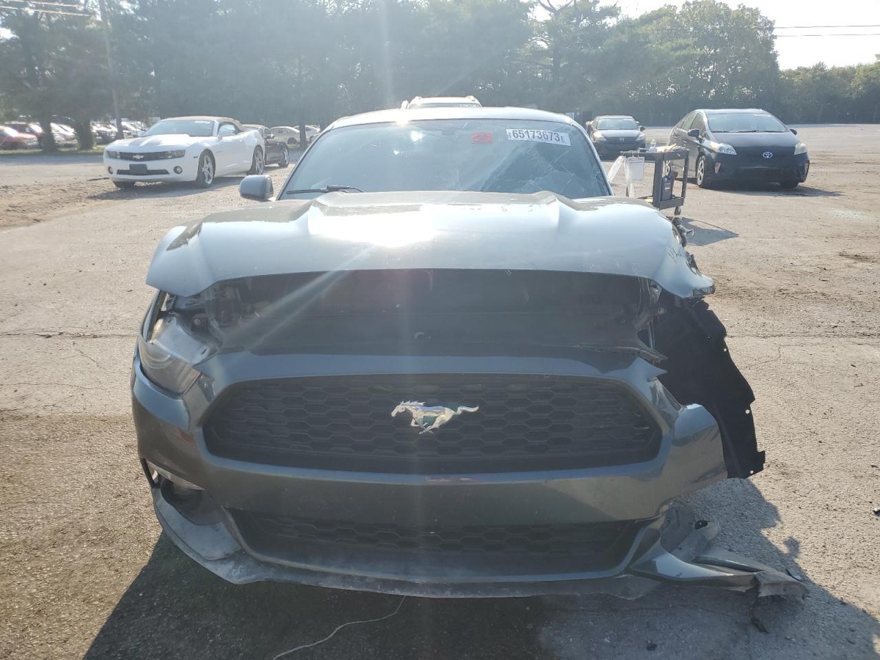 Photo 4 VIN: 1FA6P8TH5F5388348 - FORD MUSTANG 