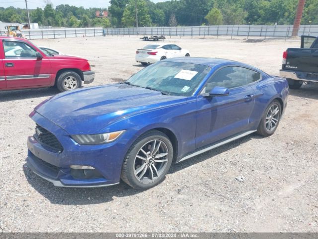 Photo 1 VIN: 1FA6P8TH5F5411742 - FORD MUSTANG 