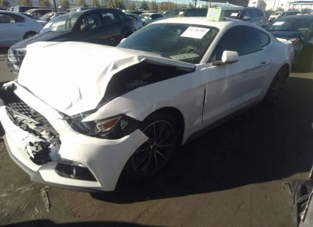 Photo 1 VIN: 1FA6P8TH5G5237964 - FORD MUSTANG 