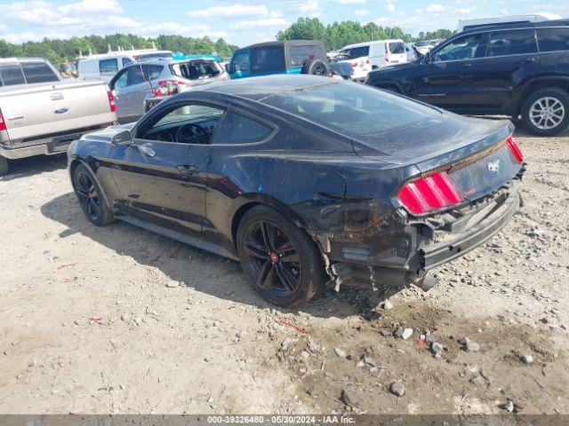 Photo 2 VIN: 1FA6P8TH5G5261889 - FORD MUSTANG 