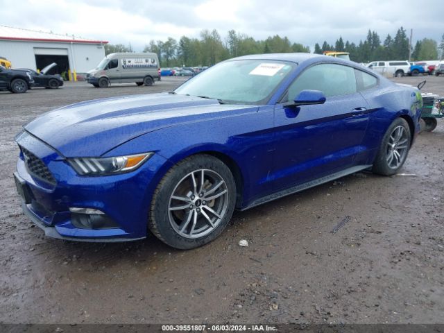 Photo 1 VIN: 1FA6P8TH5G5269393 - FORD MUSTANG 