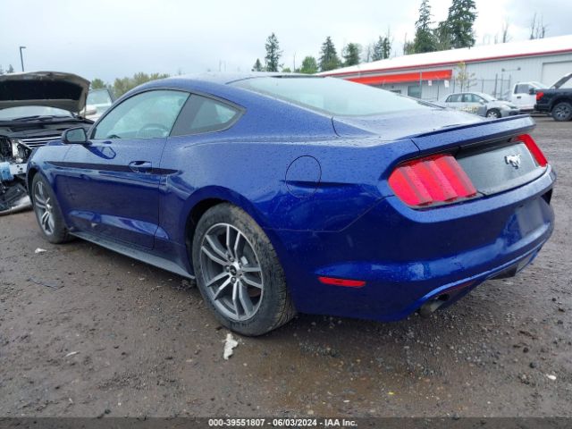 Photo 2 VIN: 1FA6P8TH5G5269393 - FORD MUSTANG 