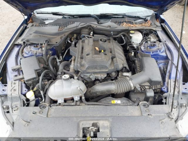 Photo 9 VIN: 1FA6P8TH5G5269393 - FORD MUSTANG 