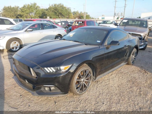 Photo 1 VIN: 1FA6P8TH5G5272780 - FORD MUSTANG 