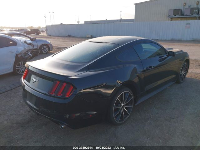 Photo 3 VIN: 1FA6P8TH5G5272780 - FORD MUSTANG 