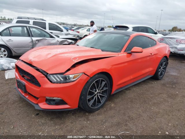 Photo 1 VIN: 1FA6P8TH5G5290180 - FORD MUSTANG 