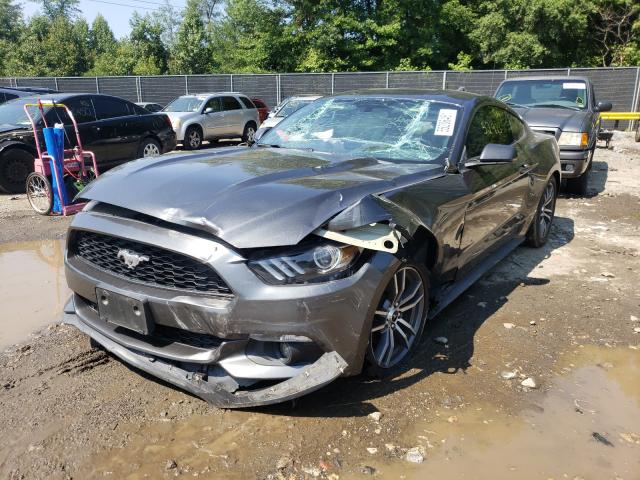 Photo 1 VIN: 1FA6P8TH5G5316860 - FORD MUSTANG 