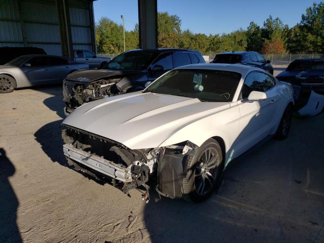 Photo 1 VIN: 1FA6P8TH5H5228182 - FORD MUSTANG 