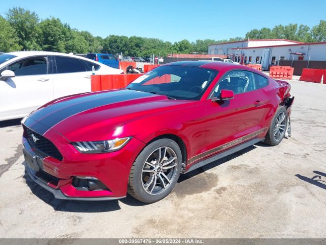 Photo 1 VIN: 1FA6P8TH5H5265944 - FORD MUSTANG 