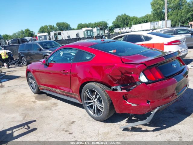 Photo 2 VIN: 1FA6P8TH5H5265944 - FORD MUSTANG 