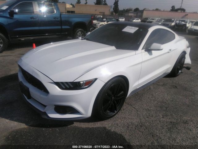 Photo 1 VIN: 1FA6P8TH5H5272697 - FORD MUSTANG 