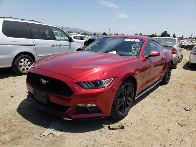 Photo 1 VIN: 1FA6P8TH5H5272926 - FORD MUSTANG 