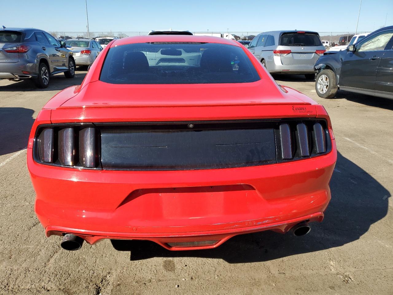 Photo 5 VIN: 1FA6P8TH5H5335748 - FORD MUSTANG 