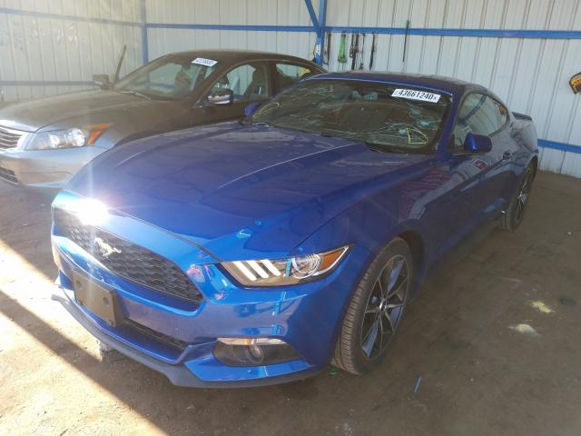 Photo 1 VIN: 1FA6P8TH5H5339699 - FORD MUSTANG 