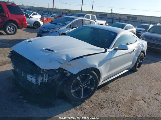 Photo 1 VIN: 1FA6P8TH5J5165557 - FORD MUSTANG 