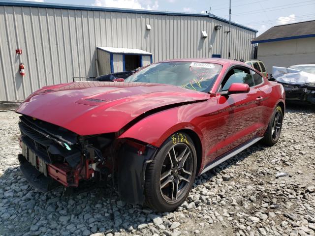 Photo 1 VIN: 1FA6P8TH5K5124220 - FORD MUSTANG 