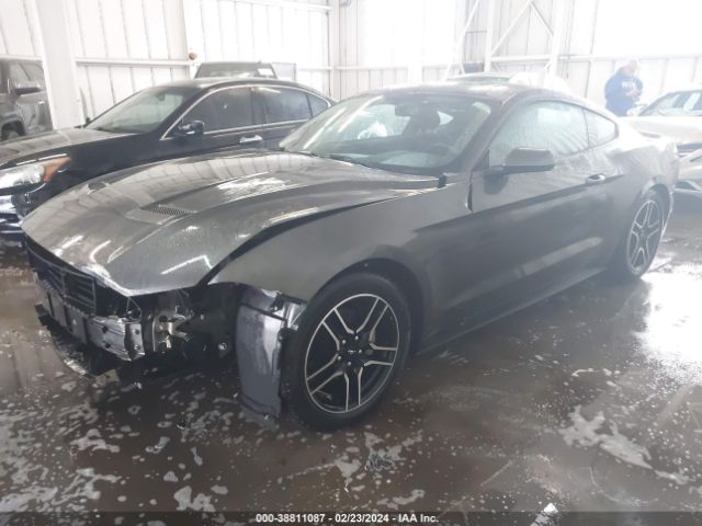 Photo 1 VIN: 1FA6P8TH5K5182487 - FORD MUSTANG 