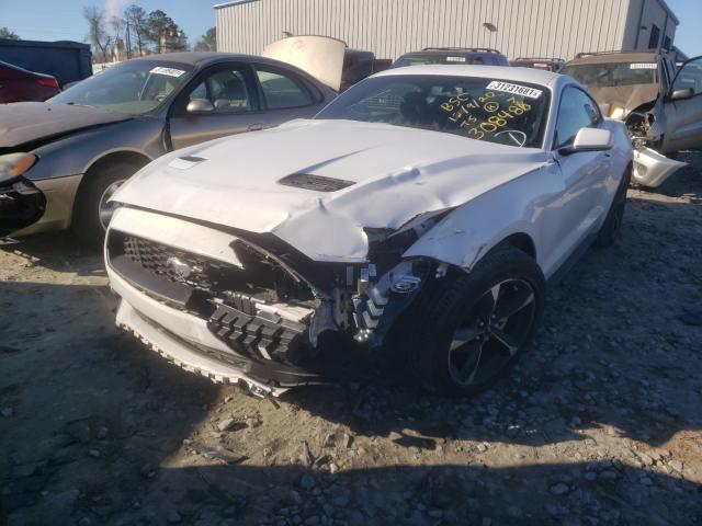 Photo 8 VIN: 1FA6P8TH5L5123019 - FORD MUSTANG 