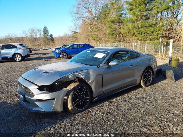 Photo 1 VIN: 1FA6P8TH5L5143335 - FORD MUSTANG 