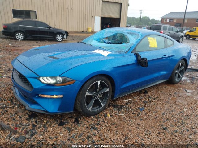 Photo 1 VIN: 1FA6P8TH5M5148228 - FORD MUSTANG 