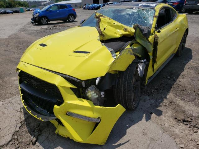 Photo 8 VIN: 1FA6P8TH5M5148830 - FORD MUSTANG 