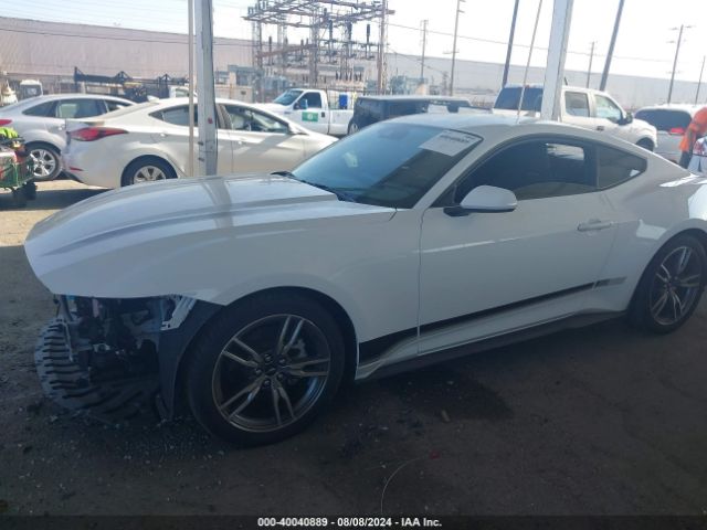 Photo 1 VIN: 1FA6P8TH5R5109243 - FORD MUSTANG 