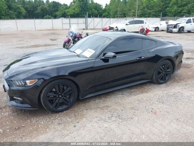 Photo 1 VIN: 1FA6P8TH6F5302335 - FORD MUSTANG 