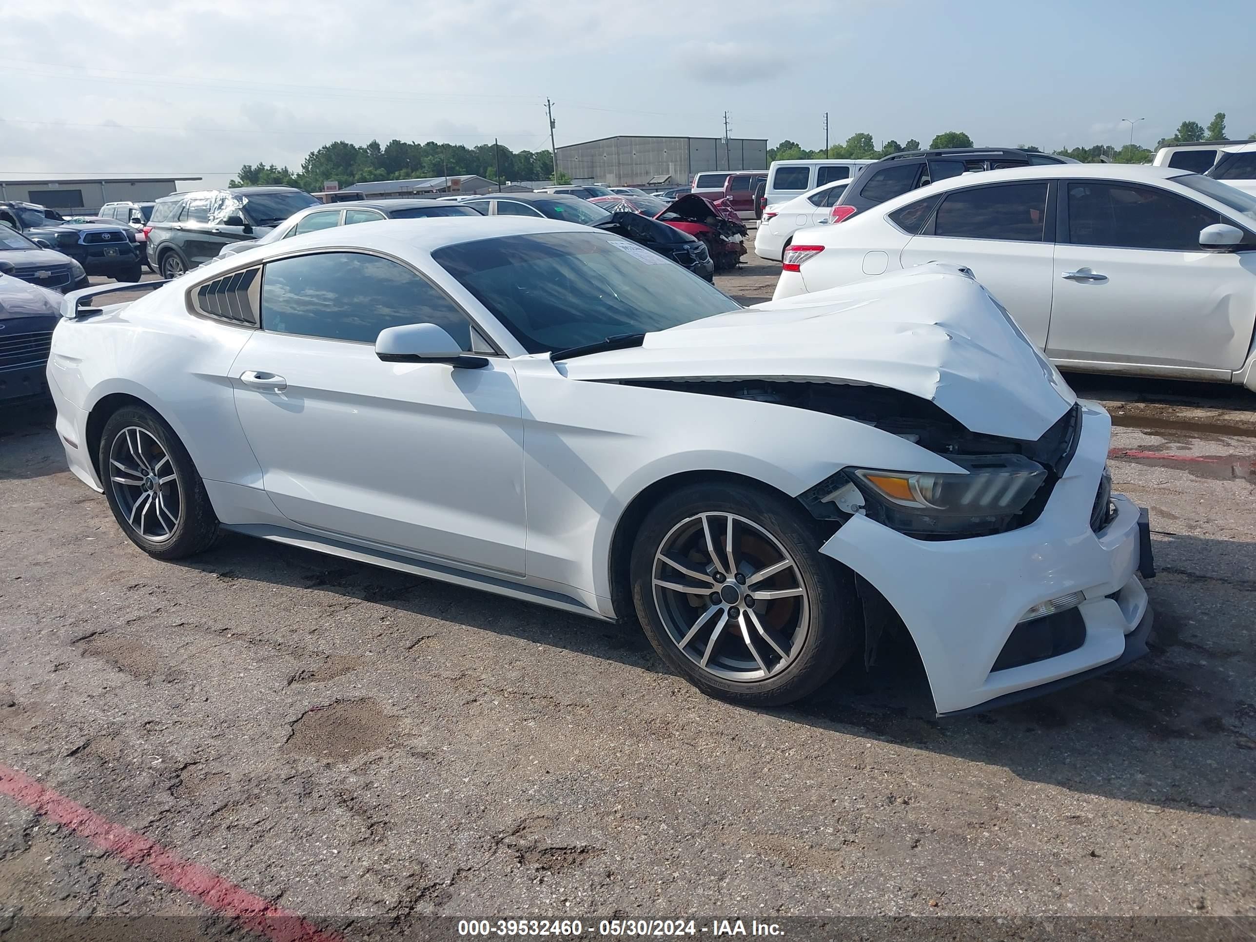 Photo 12 VIN: 1FA6P8TH6F5326957 - FORD MUSTANG 