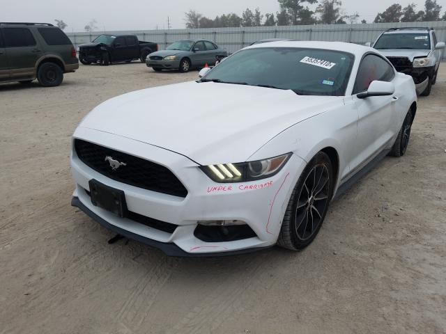 Photo 1 VIN: 1FA6P8TH6F5337344 - FORD MUSTANG 