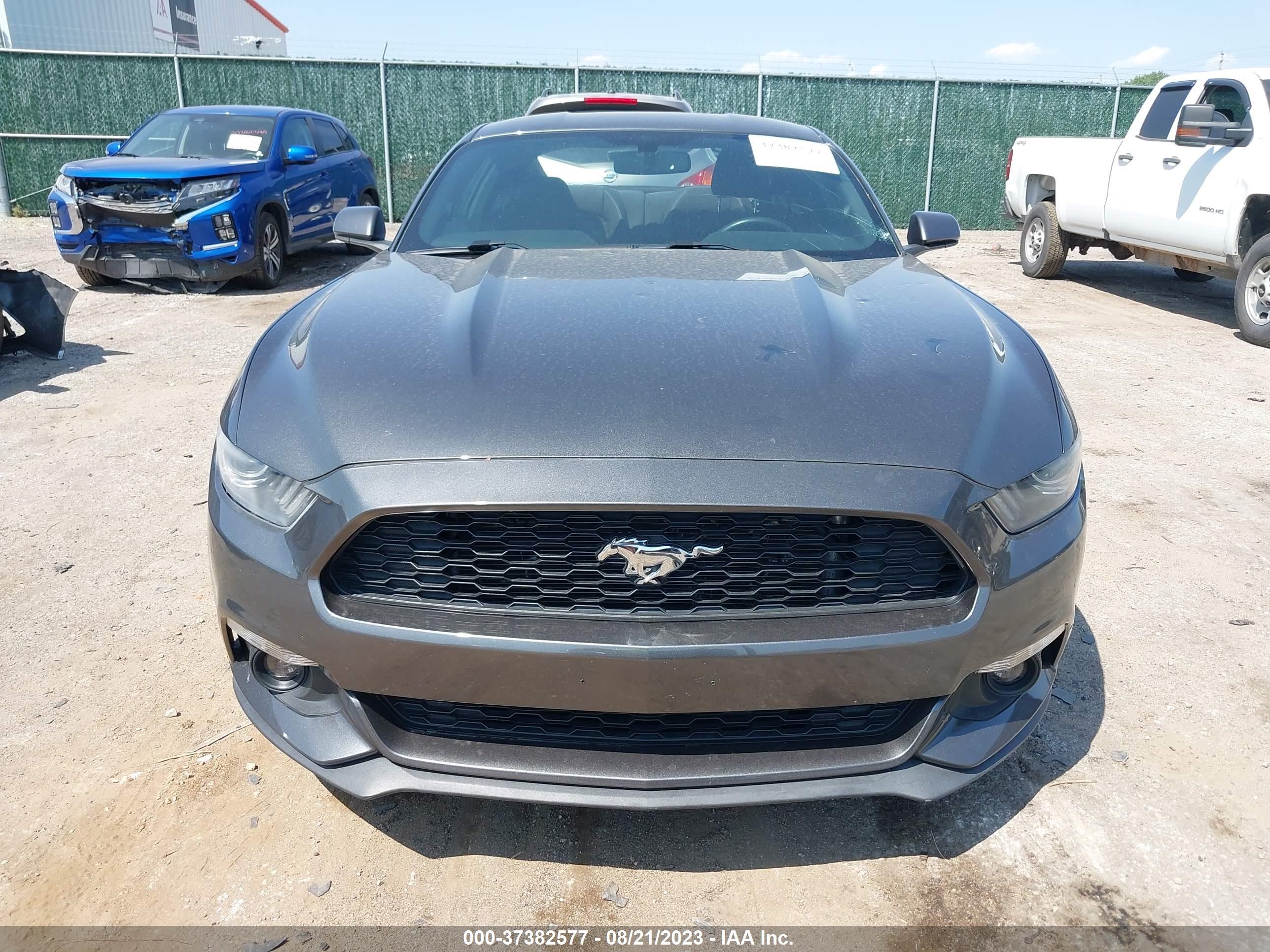 Photo 11 VIN: 1FA6P8TH6F5338395 - FORD MUSTANG 