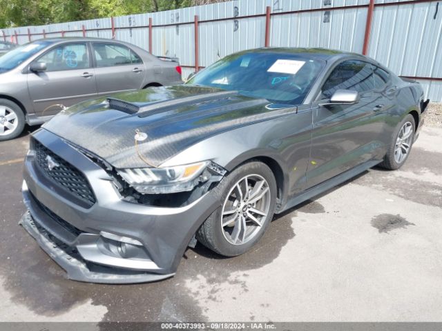 Photo 1 VIN: 1FA6P8TH6F5374488 - FORD MUSTANG 