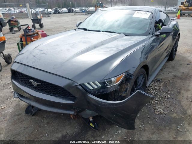 Photo 5 VIN: 1FA6P8TH6F5394191 - FORD MUSTANG 