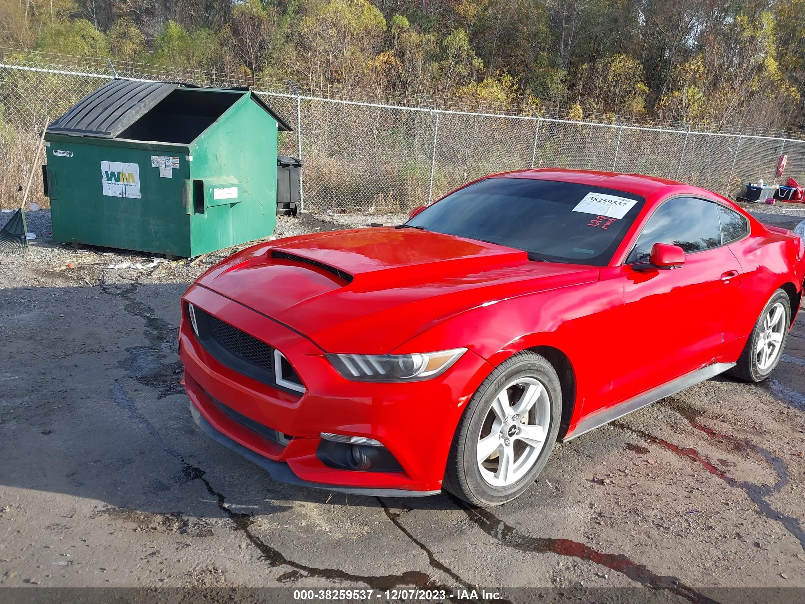 Photo 1 VIN: 1FA6P8TH6F5417145 - FORD MUSTANG 