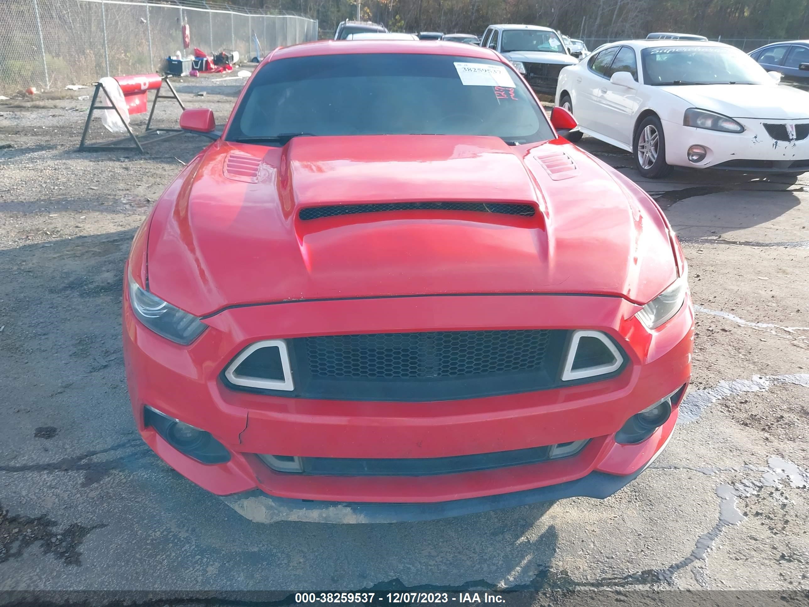 Photo 5 VIN: 1FA6P8TH6F5417145 - FORD MUSTANG 