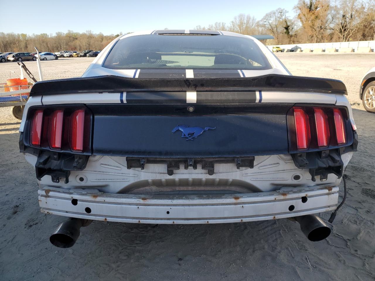 Photo 5 VIN: 1FA6P8TH6F5423172 - FORD MUSTANG 