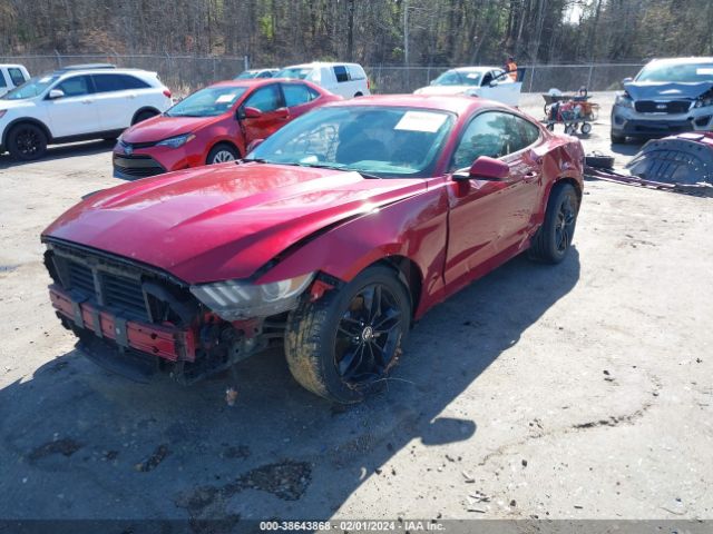 Photo 1 VIN: 1FA6P8TH6G5220171 - FORD MUSTANG 