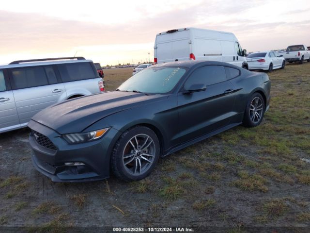 Photo 1 VIN: 1FA6P8TH6G5224186 - FORD MUSTANG 