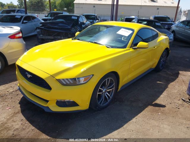 Photo 1 VIN: 1FA6P8TH6G5226505 - FORD MUSTANG 